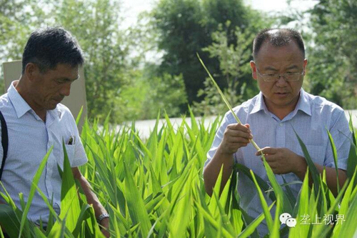 敦煌種業(yè)種子營(yíng)銷分公司—通過組織黑龍江農(nóng)戶開展體驗(yàn)之旅活動(dòng)進(jìn)一步提升公司的社會(huì)形象